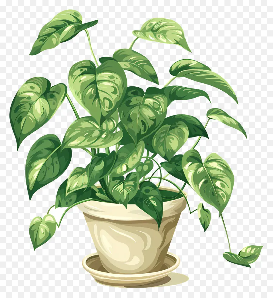 Planta Em Vaso，Folhas PNG