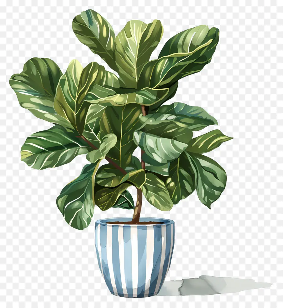 Planta Em Vaso，Folhas PNG