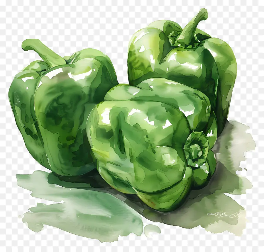 Pimentões，Pimentos Verdes PNG