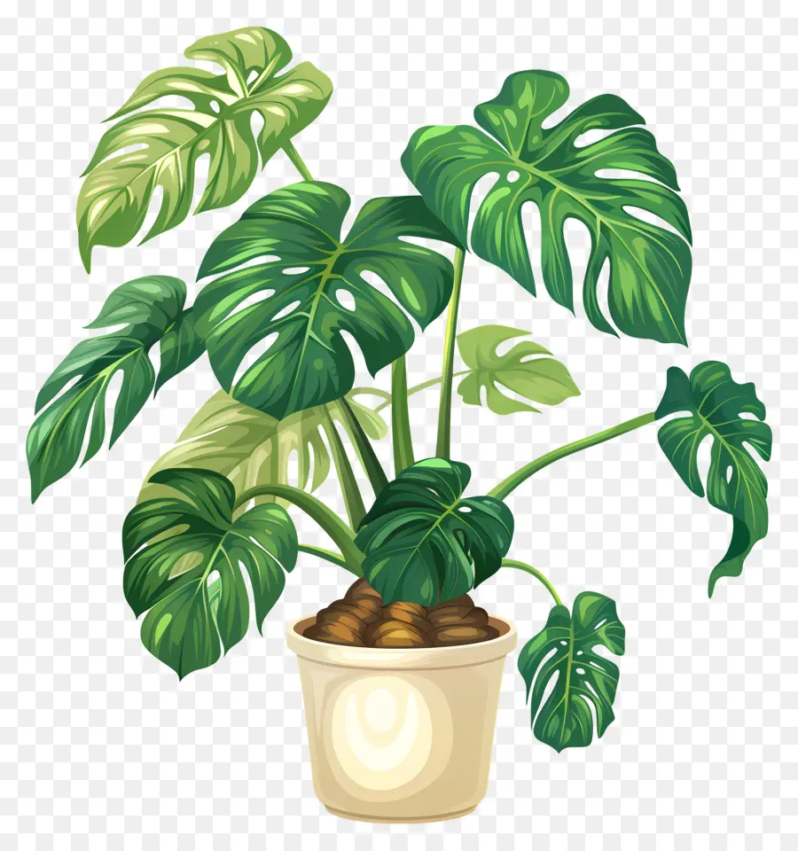 Planta Em Vaso，Folhas PNG