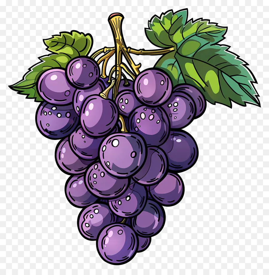 Uvas Verdes，Videira PNG