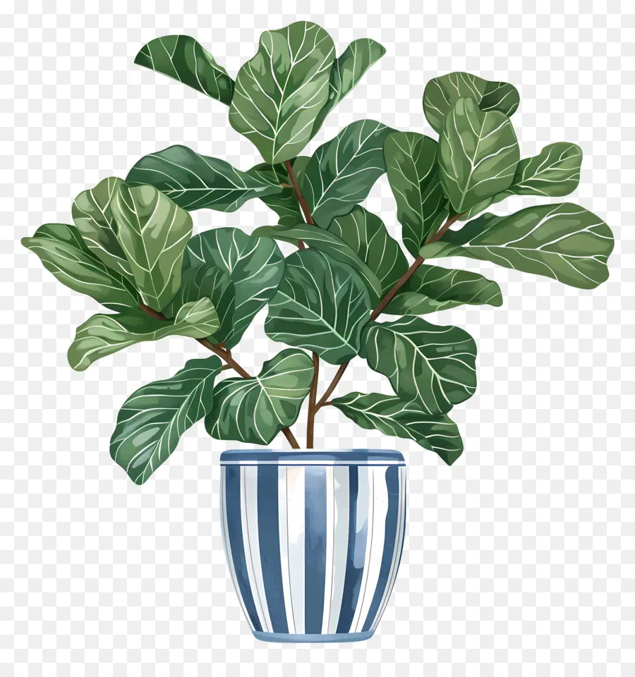 Planta Em Vaso，Folhas PNG