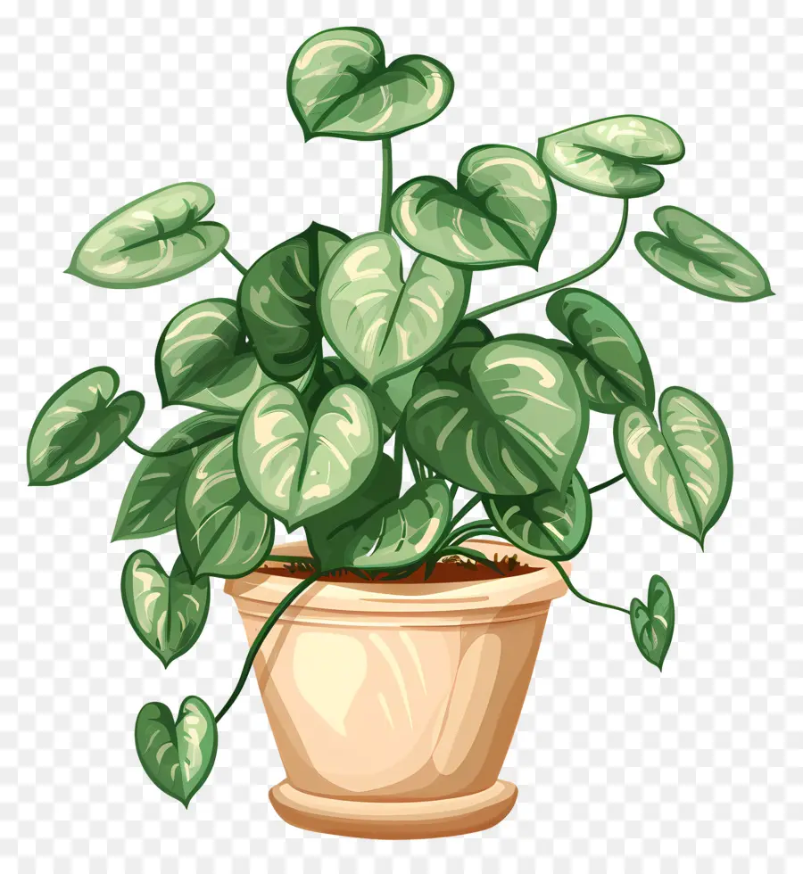 Planta De Casa Ondulada，Planta De Vaso PNG