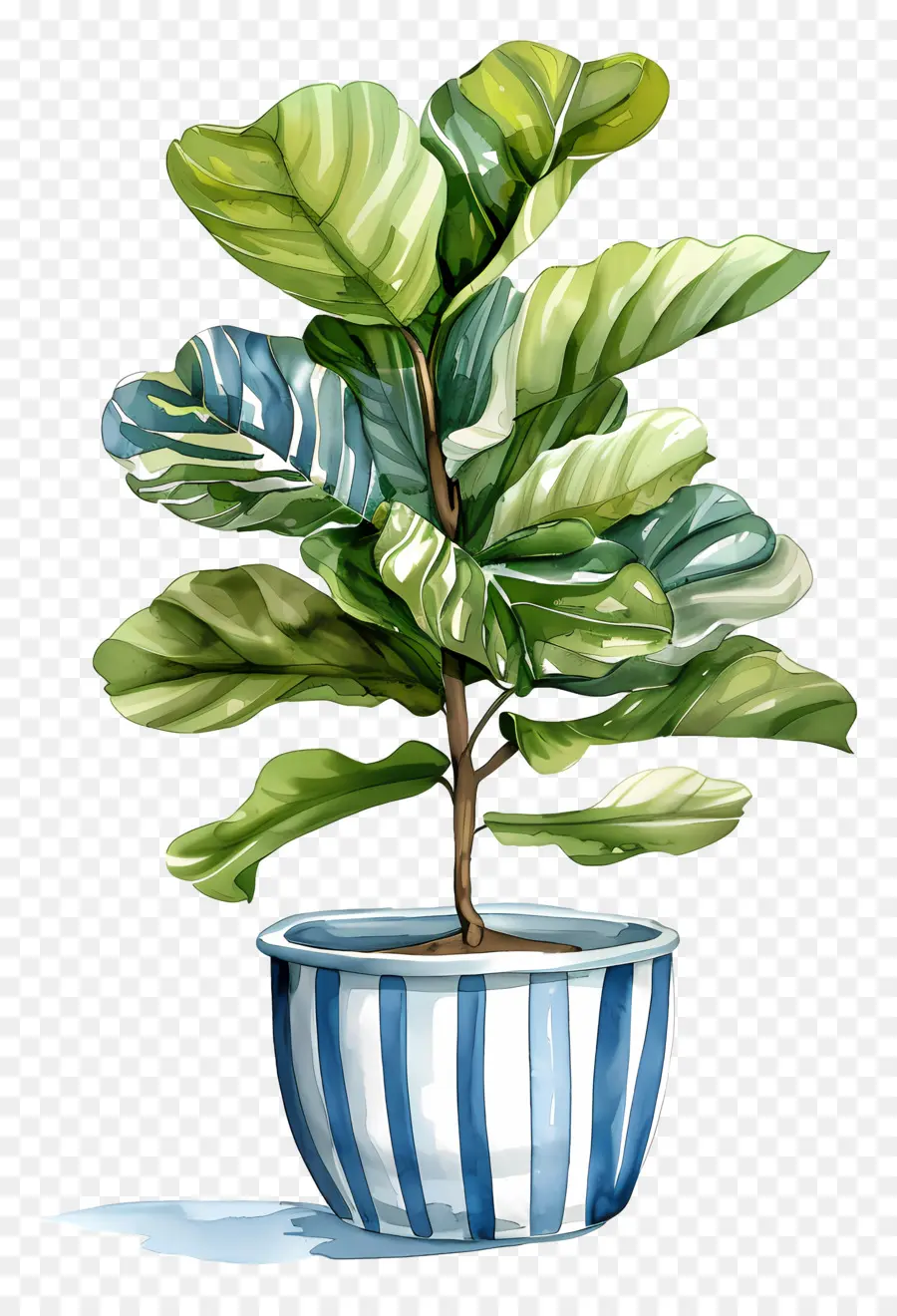 Planta Em Vaso，Folhas PNG