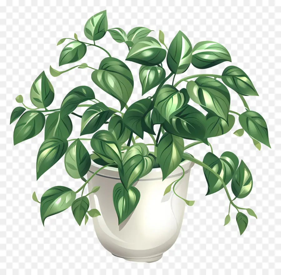 Planta De Casa Ondulada，Planta De Vaso PNG