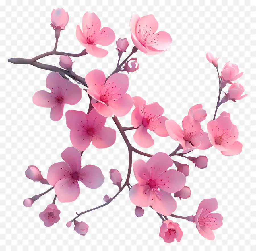 Flores Vermelhas，Florescer PNG