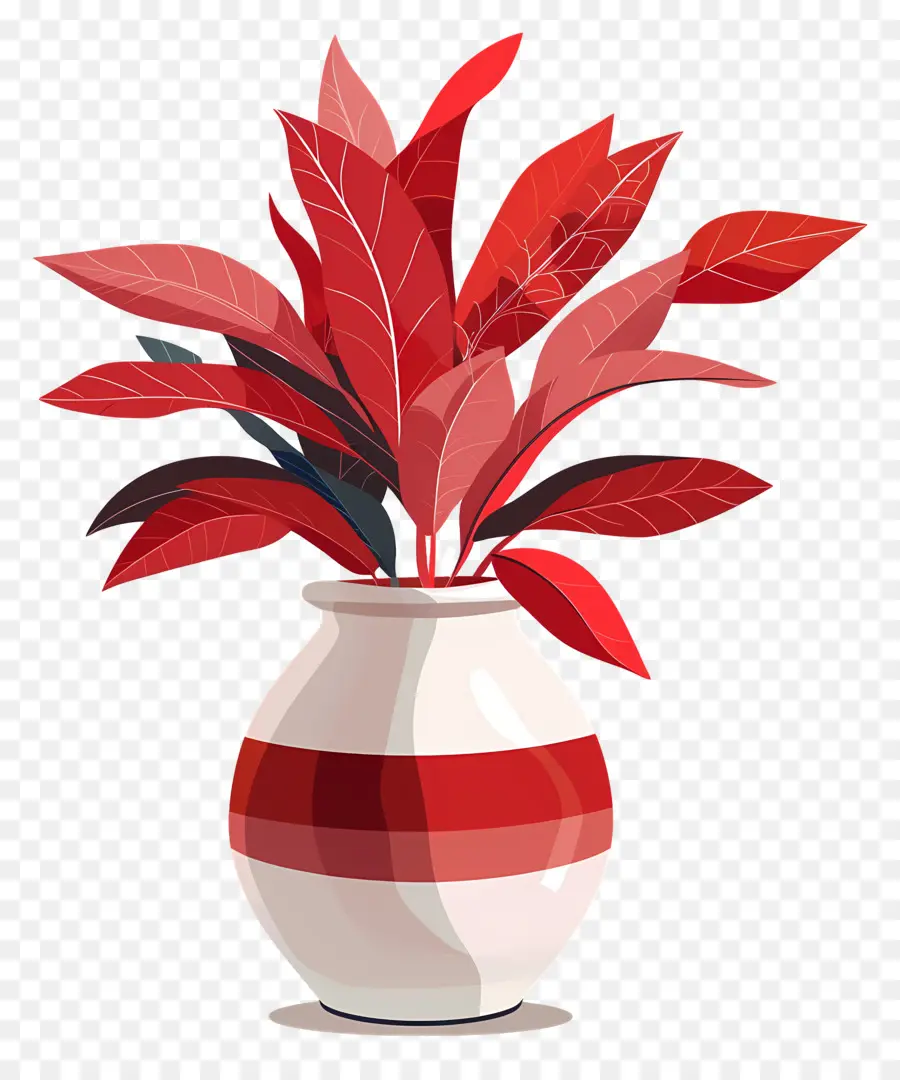 Nolina，Vaso Vermelho PNG