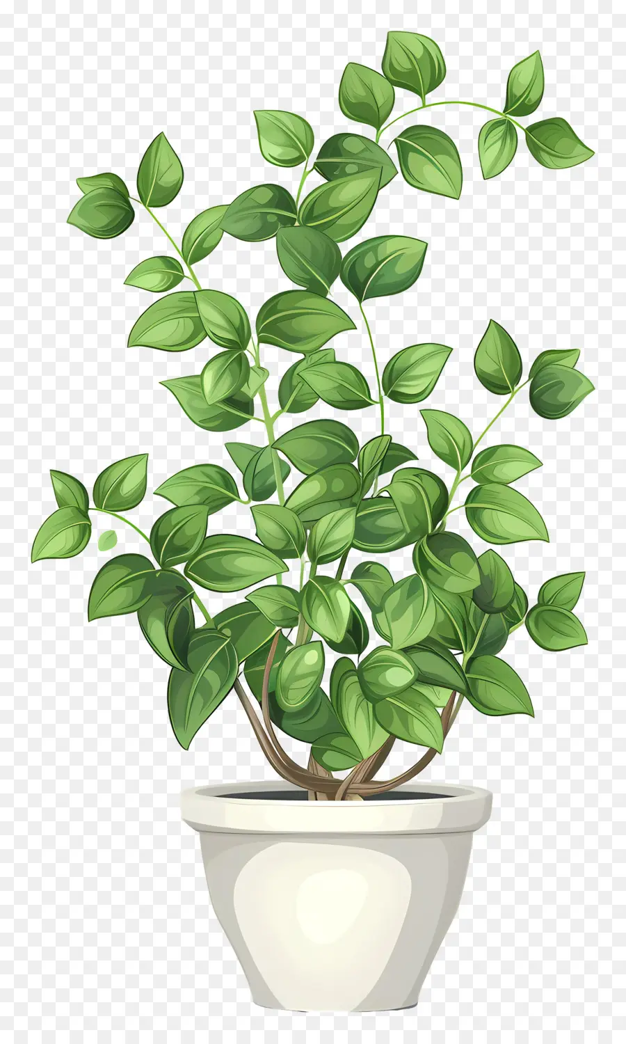 Planta De Casa Ondulada，Planta De Vaso PNG