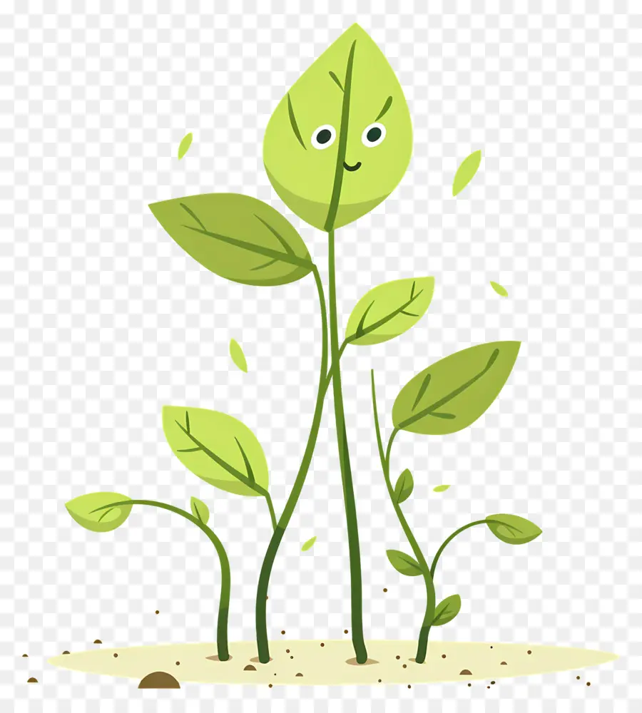 Planta Feliz，Folhas PNG