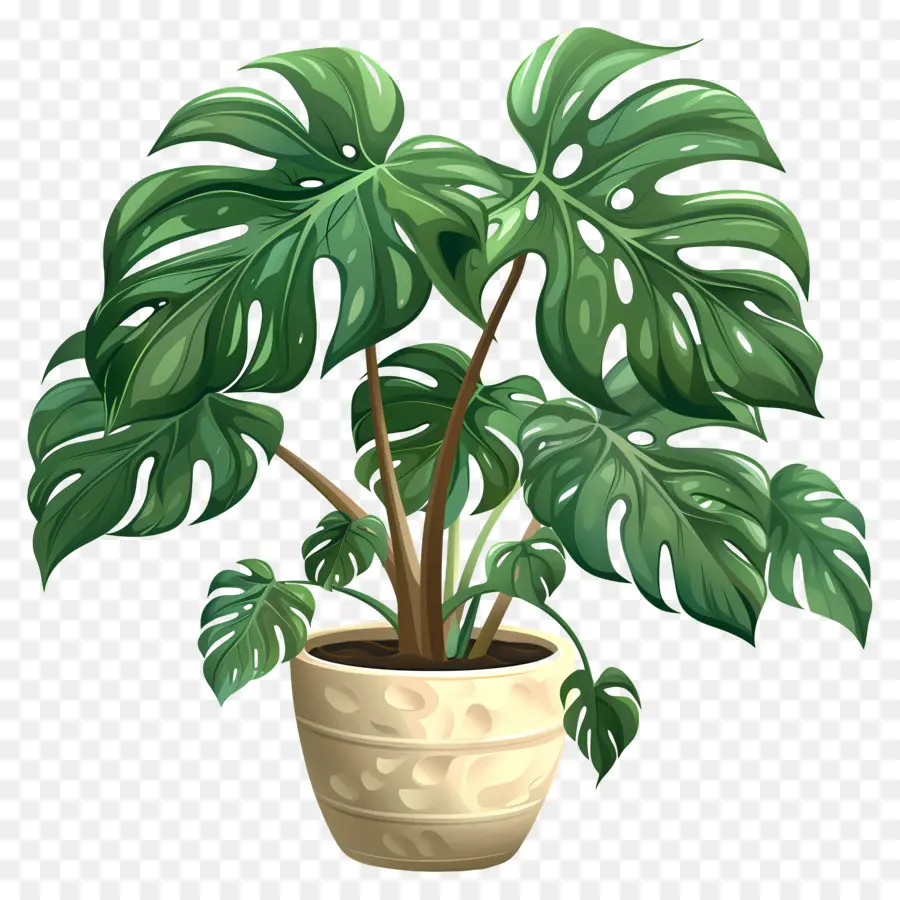 Planta Em Vaso，Folhas Verdes PNG