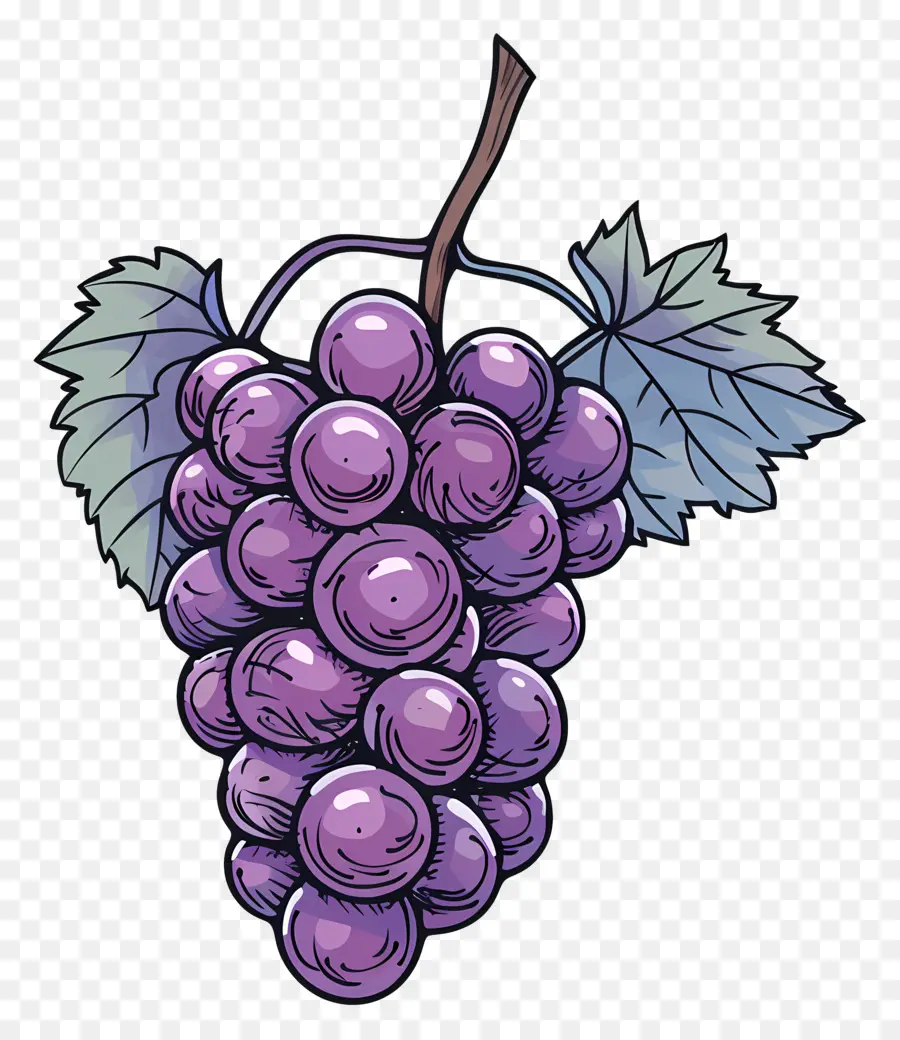 Uvas，Roxo PNG