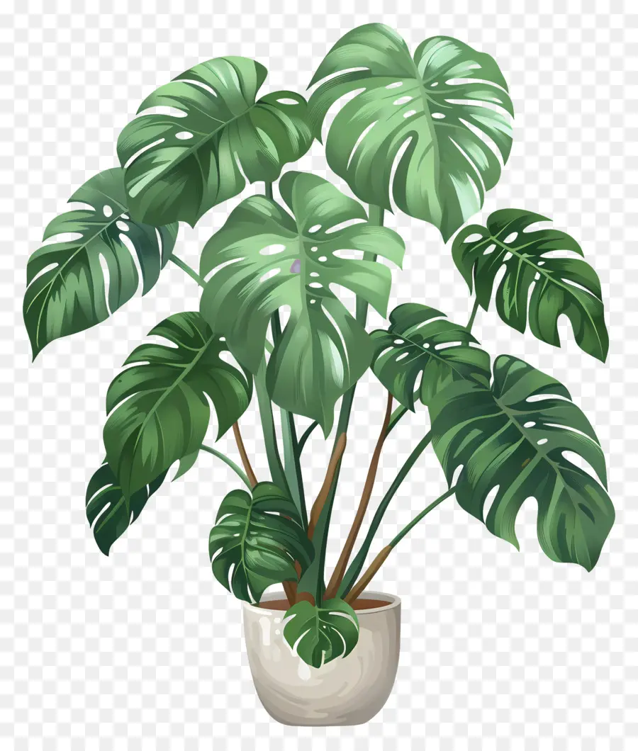 Planta Em Vaso，Folhas PNG