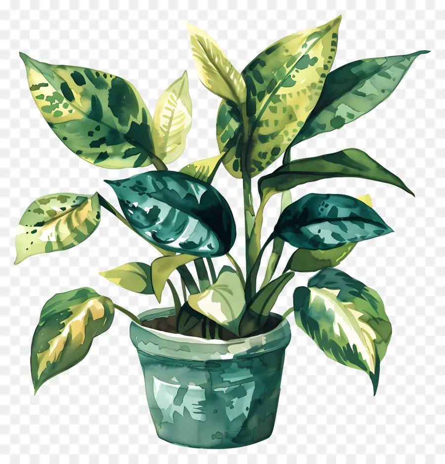 Planta Em Vaso，Folhas PNG