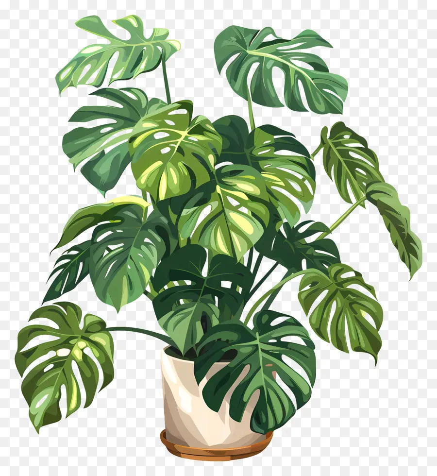 Planta Em Vaso，Folhas PNG