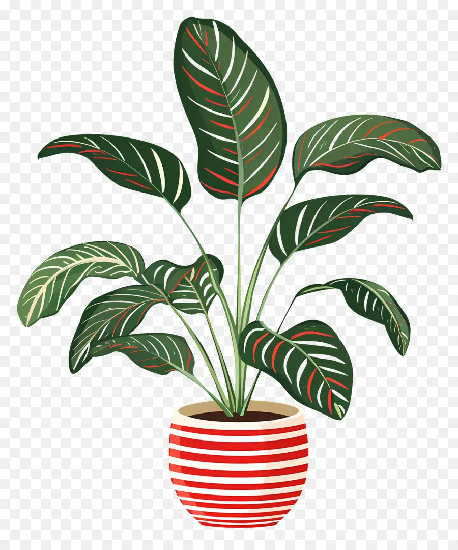 Planta Tropical，Planta De Vaso PNG