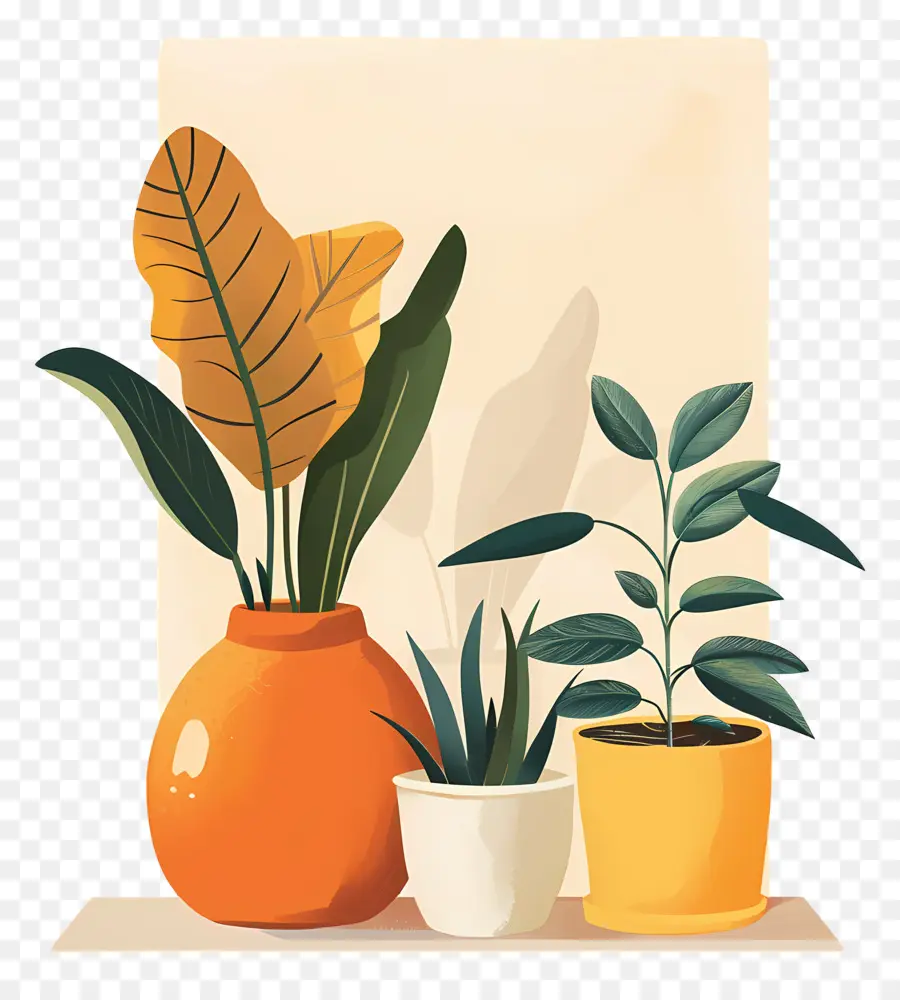 Plantas Interiores，Vasos De Plantas PNG