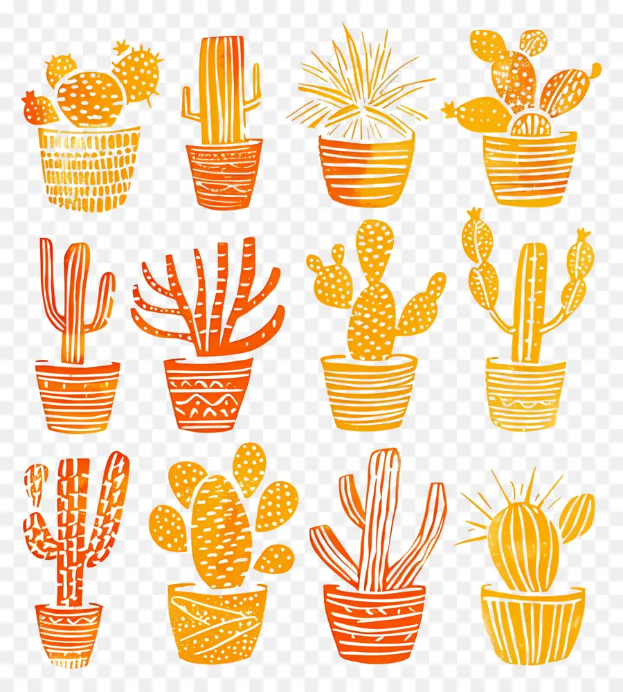 Cactos Coloridos，Plantas PNG