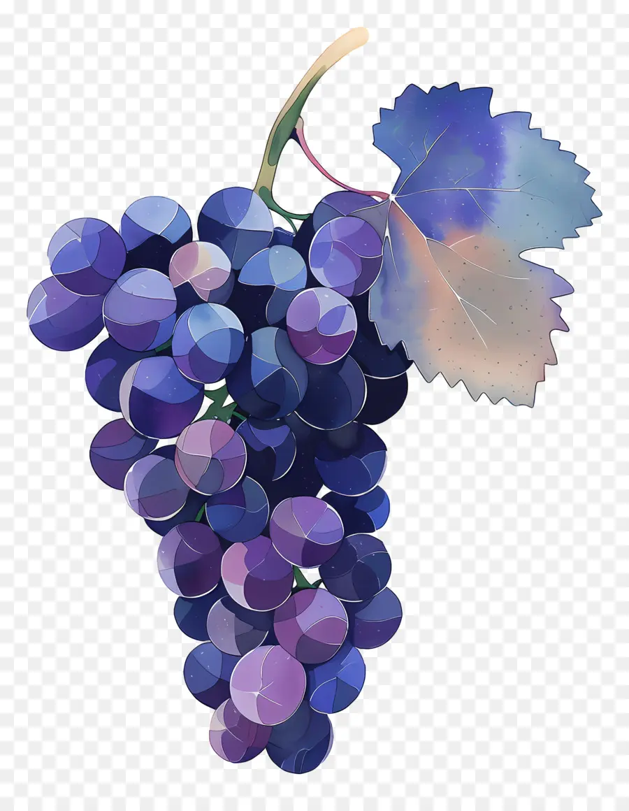 Cacho De Uvas，Uvas PNG