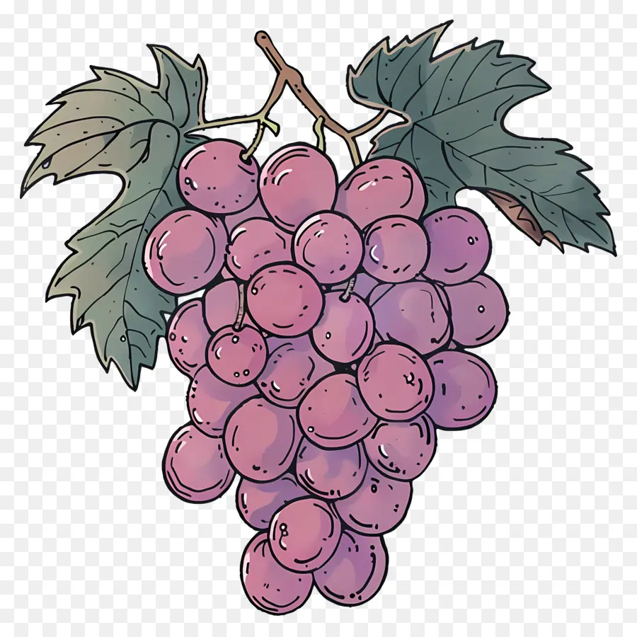 Cacho De Uvas，Uvas PNG