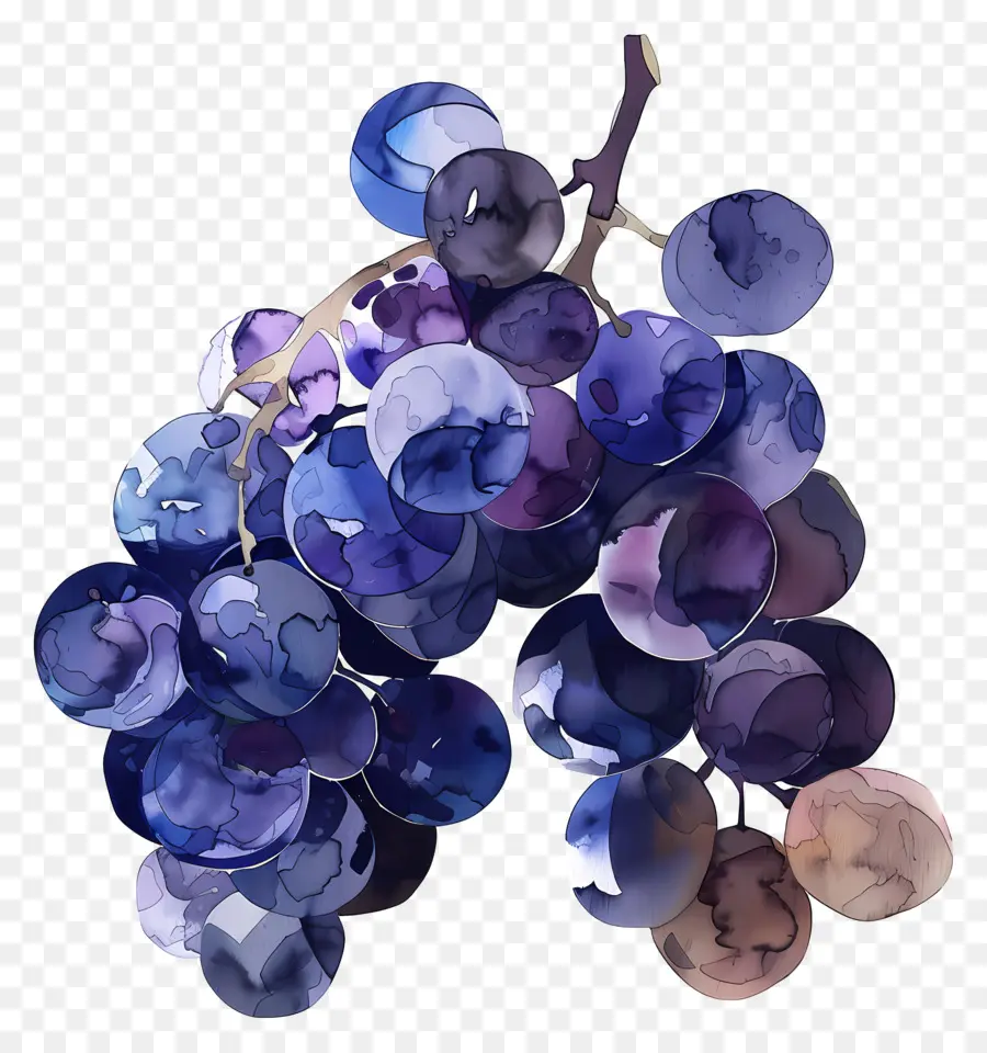 Uvas，Fruta PNG