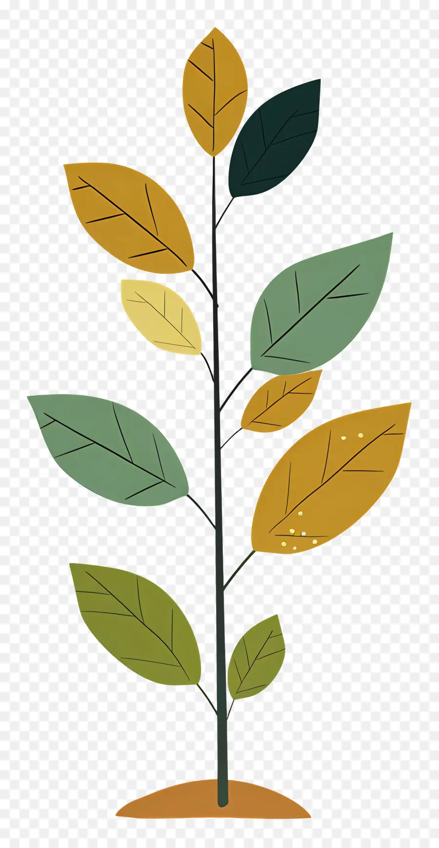 Planta Colorida，Folhas PNG