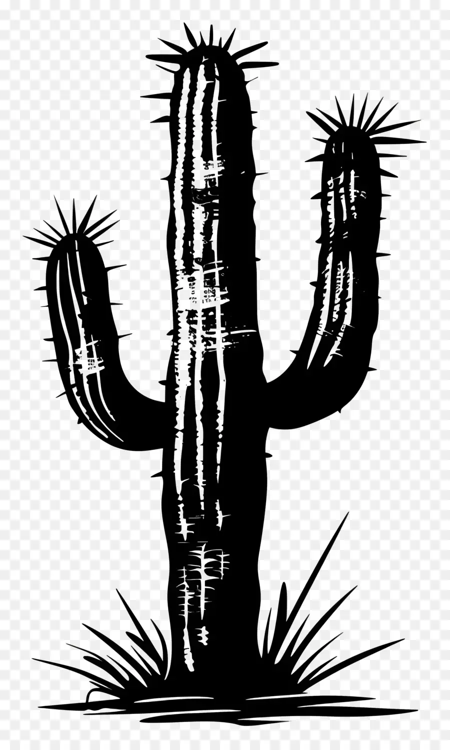 Saguaro Cactus Silhueta，Cactus PNG