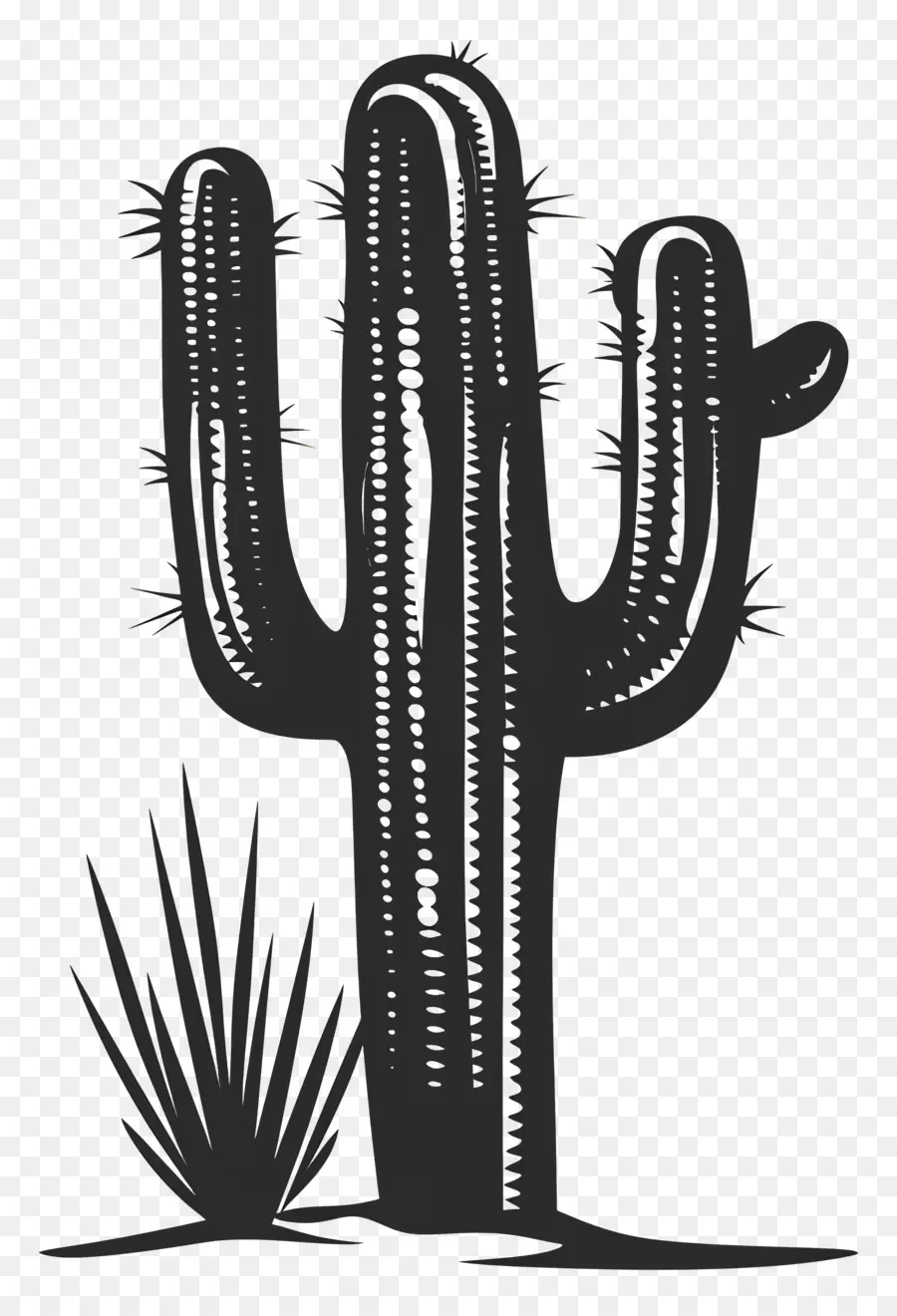 Saguaro Cactus Silhueta，Cactus PNG