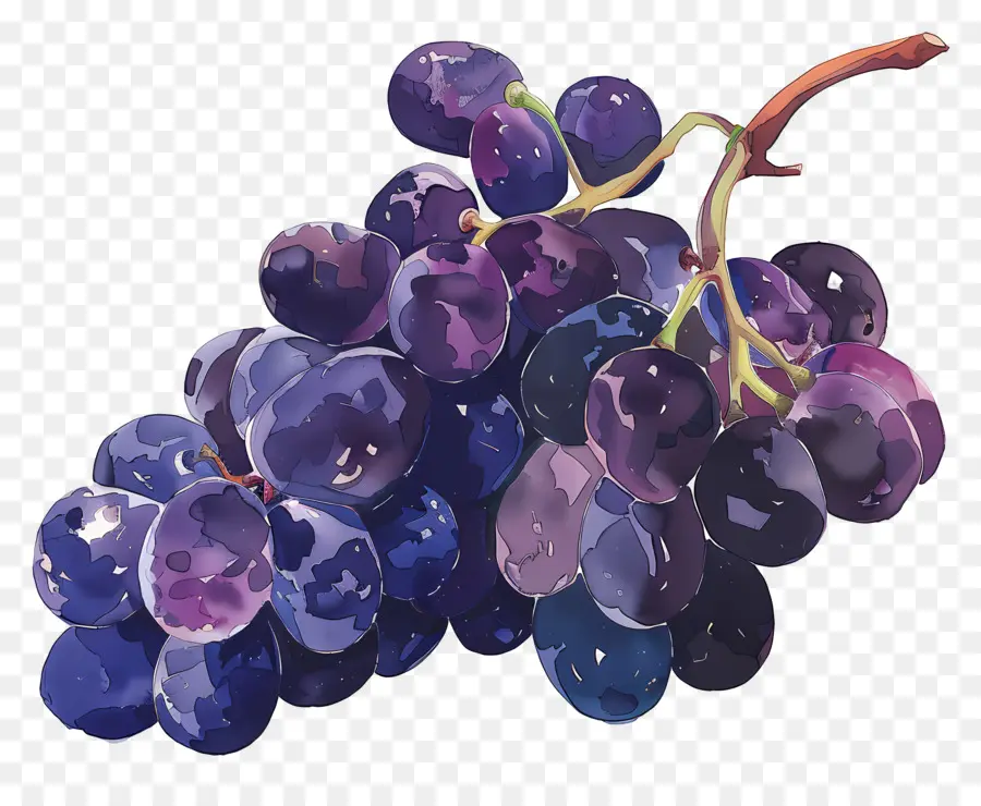 Uvas，Fruta PNG