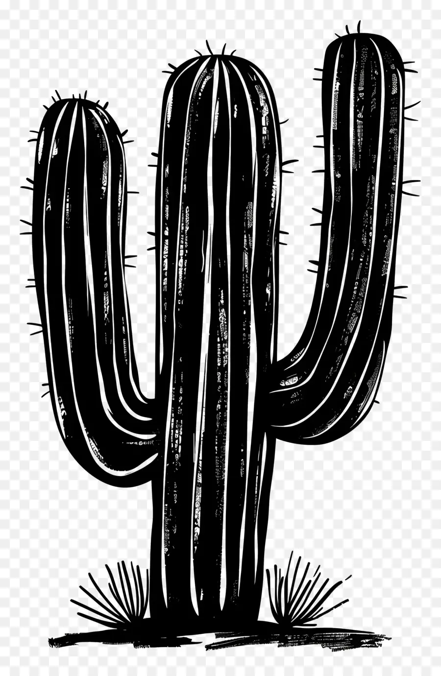 Saguaro Cactus Silhueta，Cactus PNG