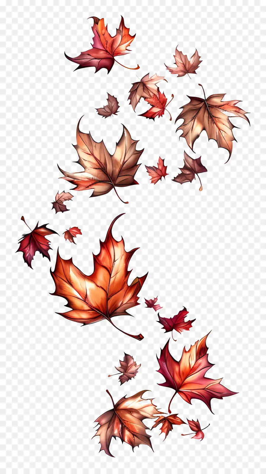 Folhas De Bordo，Autumn Leaves PNG