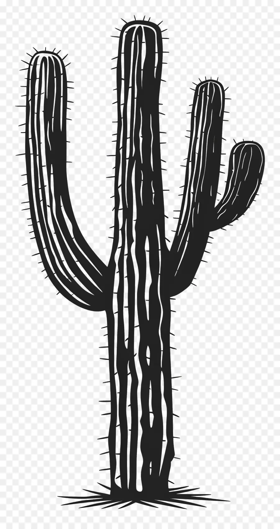 Saguaro Cactus Silhueta，Cactus PNG