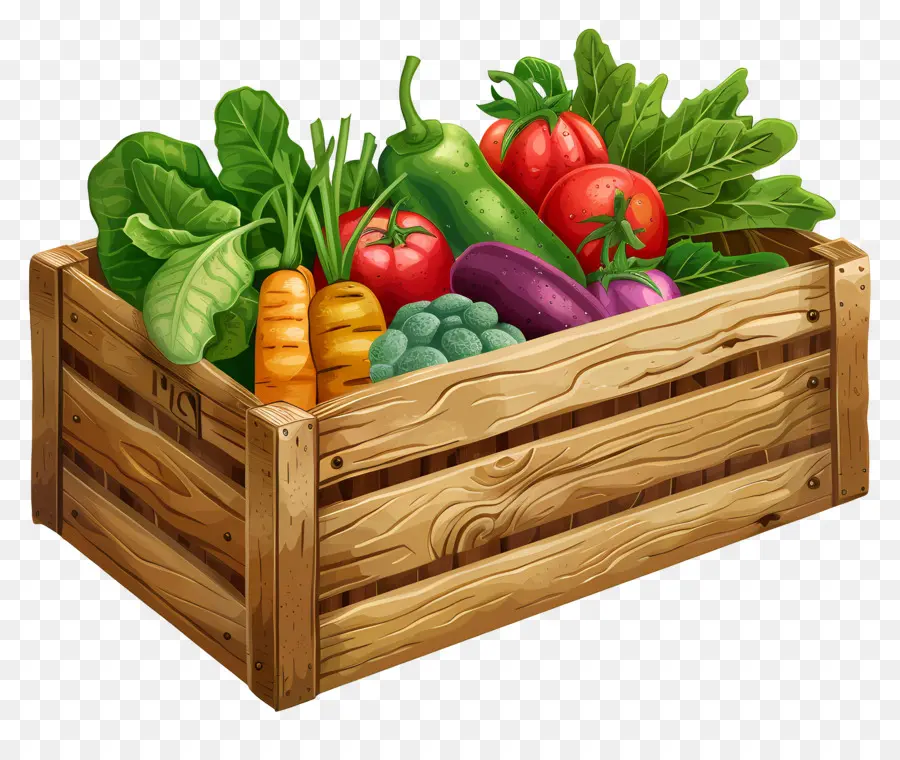 Mundo Vegetariano Dia，Legumes Frescos PNG