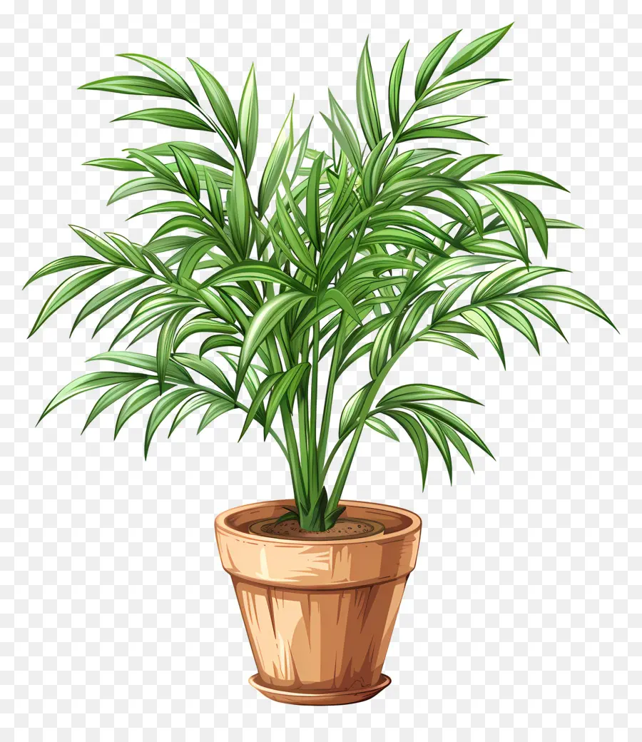 Palmeira De Salão，Planta Em Vaso PNG