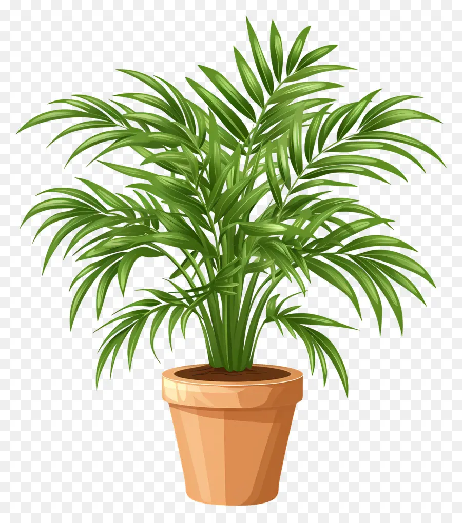 Palmeira De Salão，Planta Em Vaso PNG