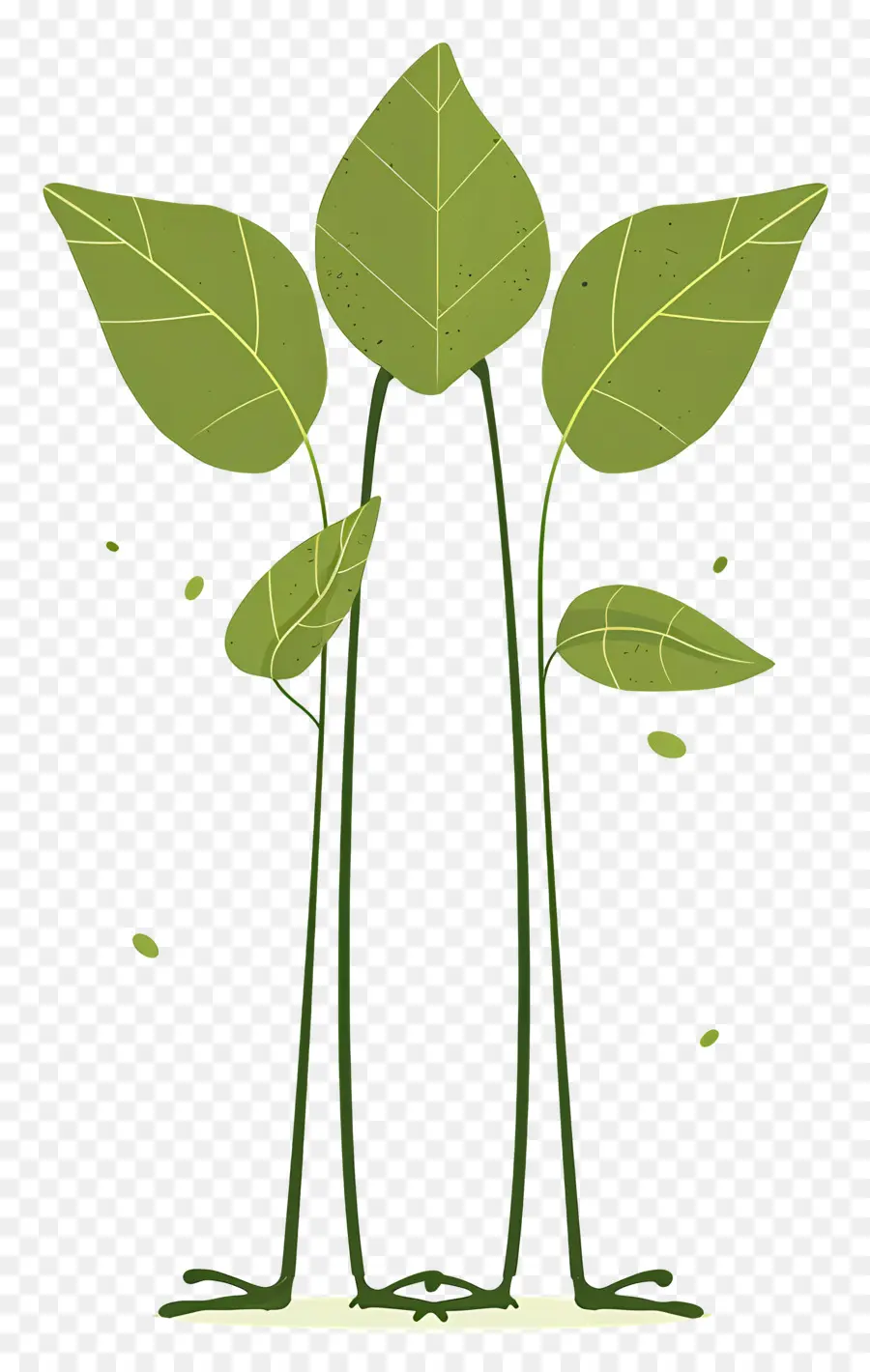 O Crescimento Da Planta，Folhas Verdes PNG