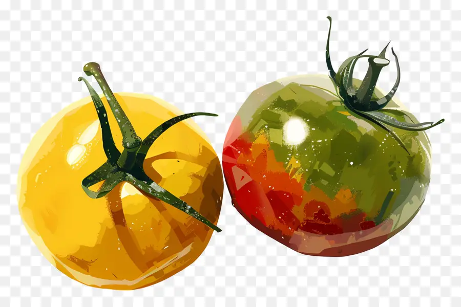 Tomates Vermelhos，Amarelo Tomates PNG