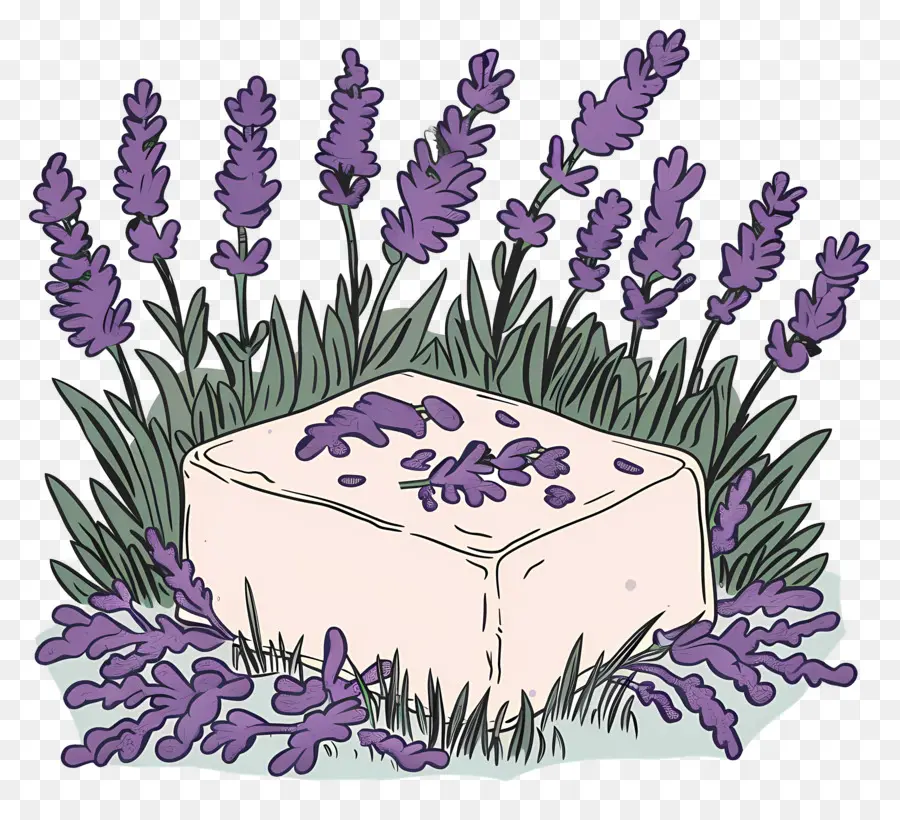 Barra De Sabão De Lavanda，Lavanda PNG