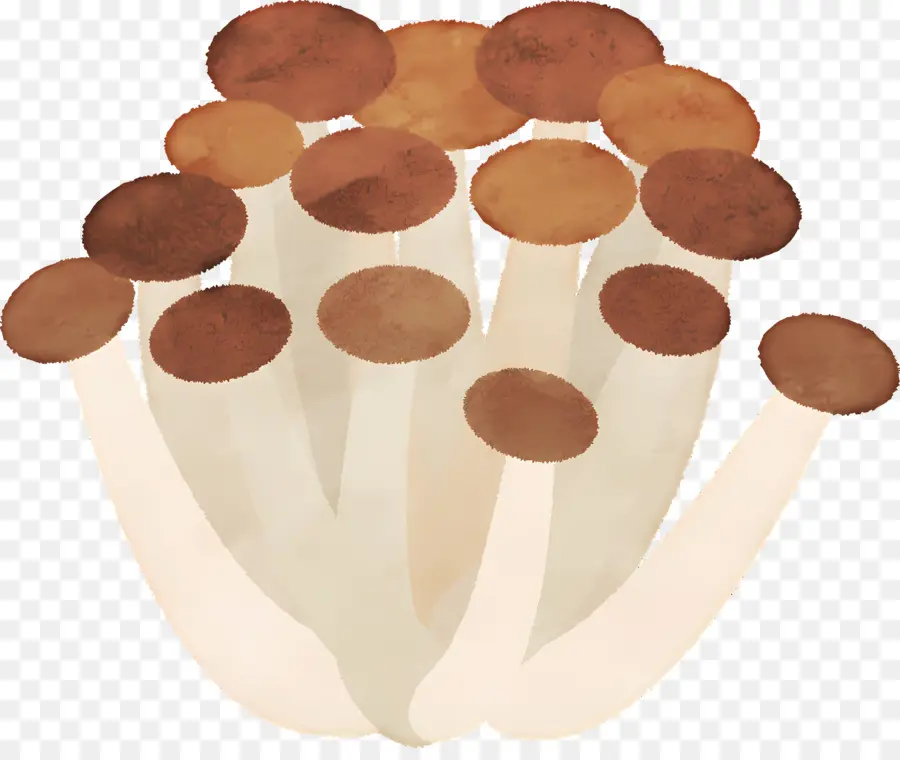 Cogumelos，Fungo PNG