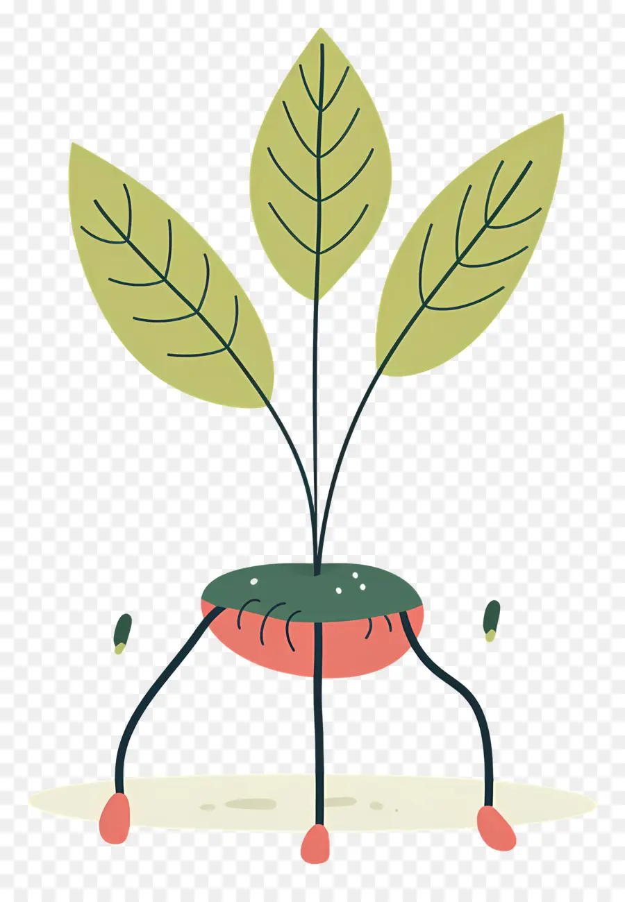 Cultivo De Plantas，Plantar PNG