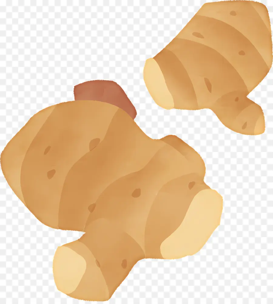 Gengibre，Pão PNG