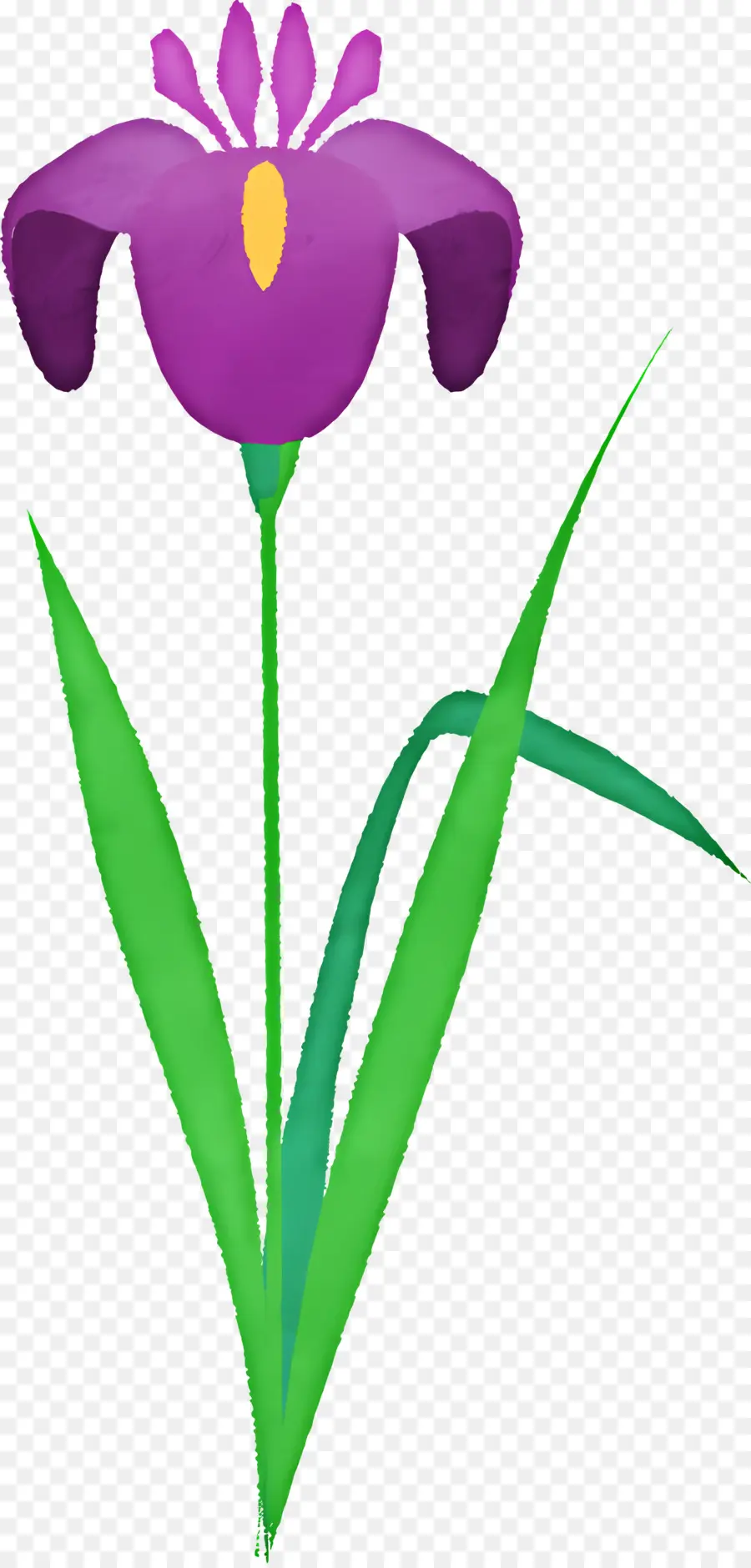 Flor De Iris，íris Roxo PNG