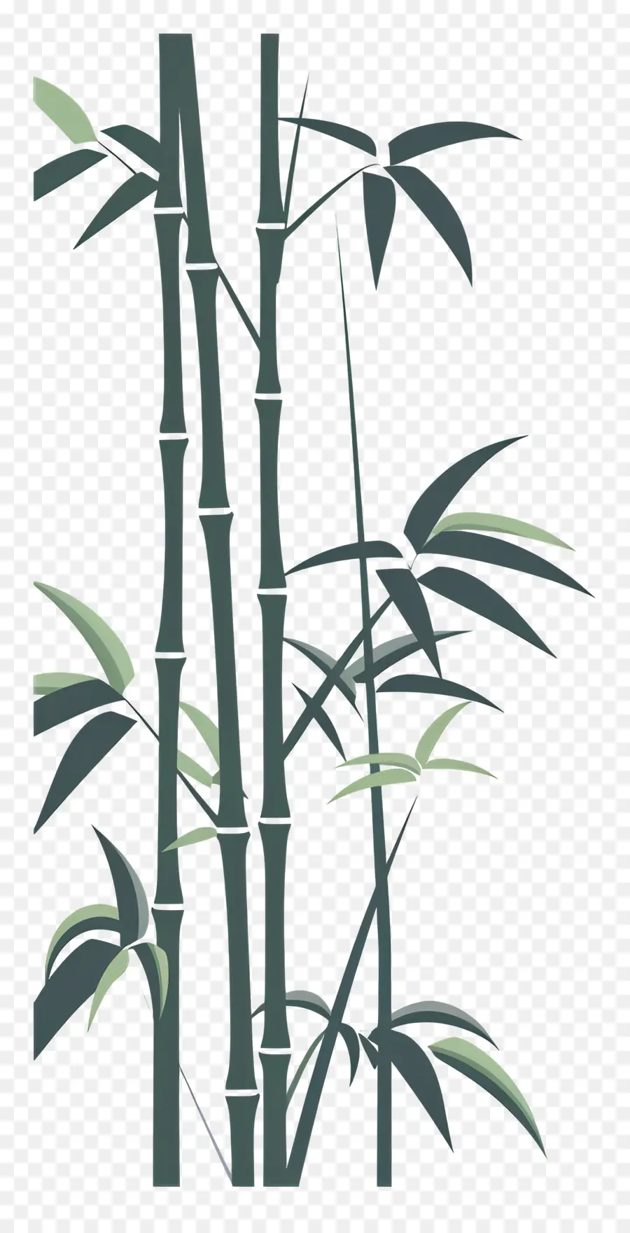 Bambu，Folhas PNG