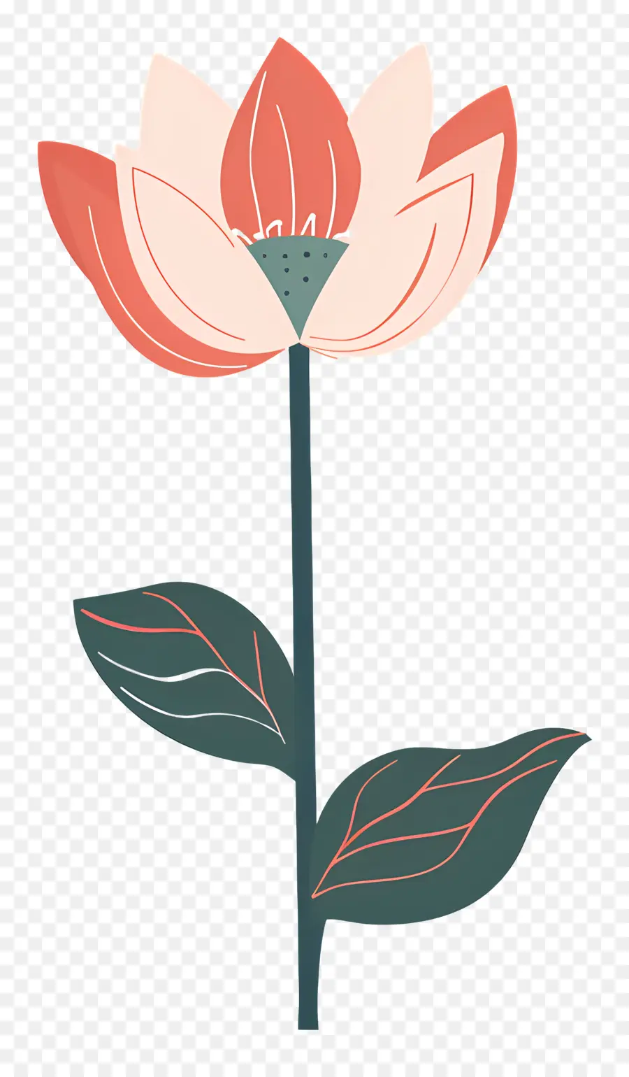 Lotus，Flor Rosa PNG