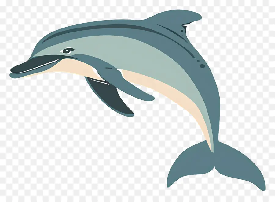 Cartoon Dolphin，Dolphin PNG