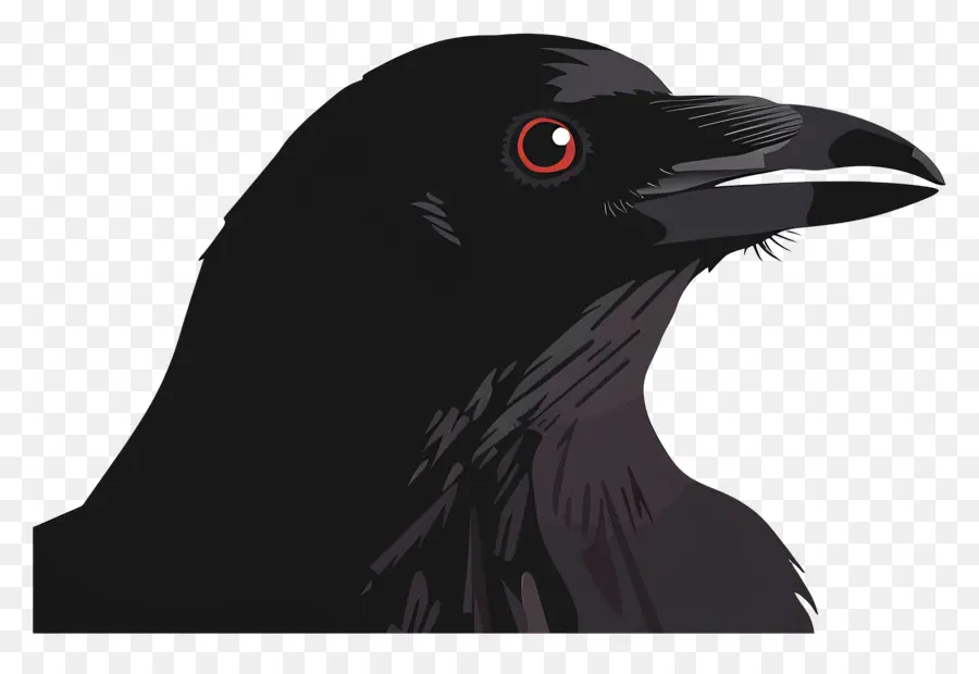 Raven，Crow PNG