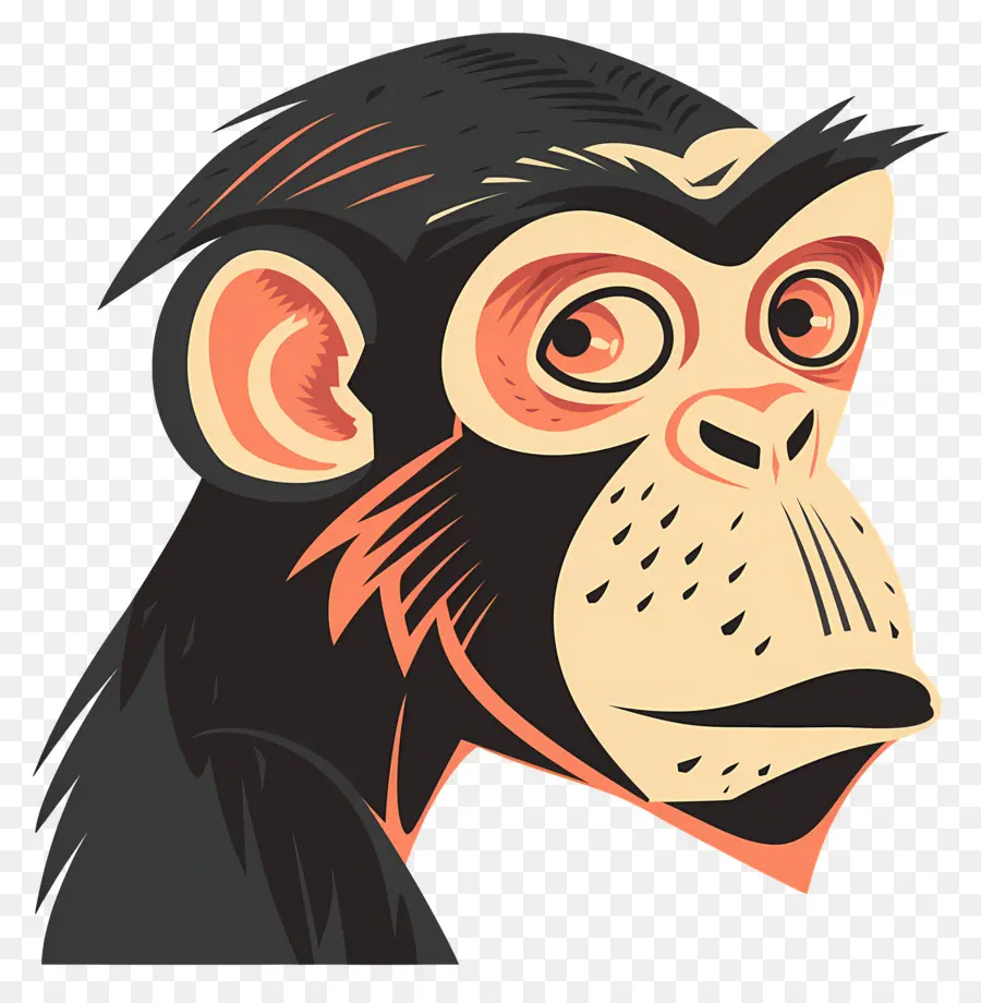 Macaco，Macaco Colorido PNG