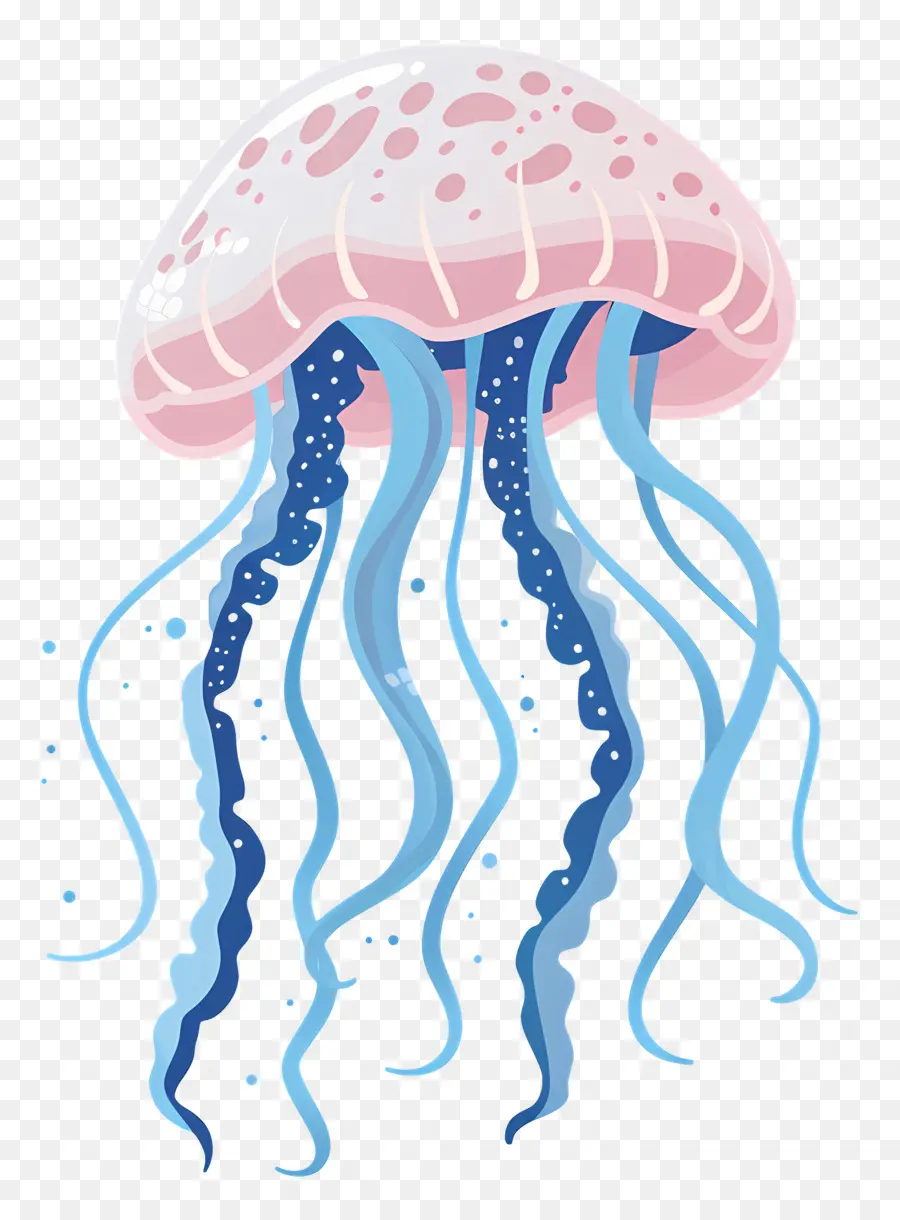 Medusa，Oceano PNG