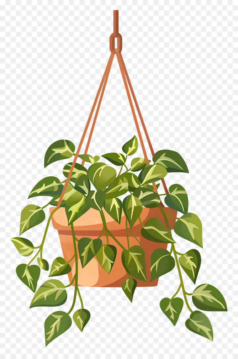 Plantas Penduradas，Suspensão Planta PNG