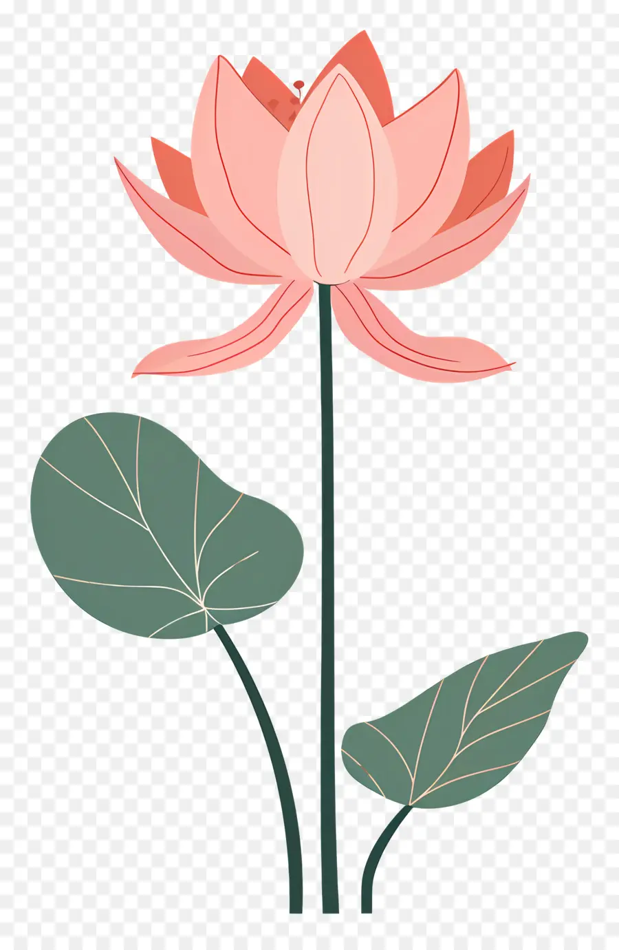 Lotus，Flor De Lótus PNG