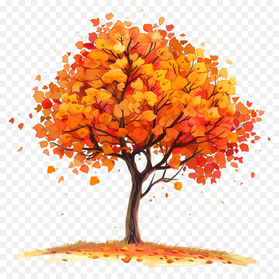 árvore De Bordo，Autumn Tree PNG